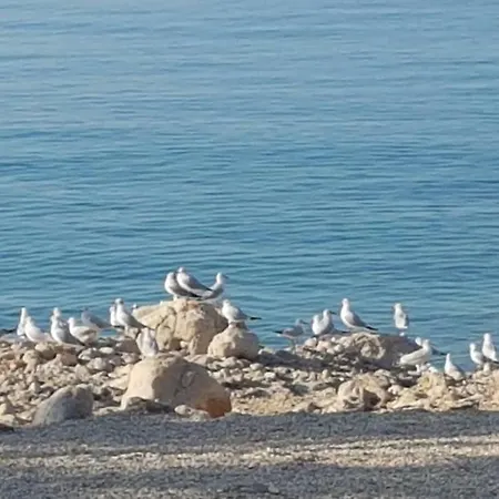 Apartamento Paola Makarska